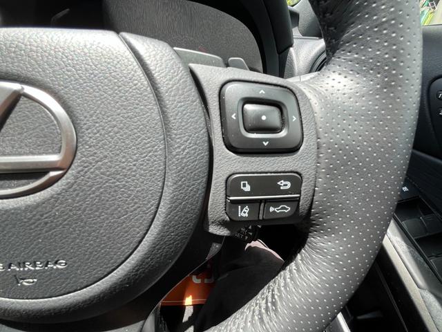 LEXUS IS IS300 F SPORT MODE BLACK IV