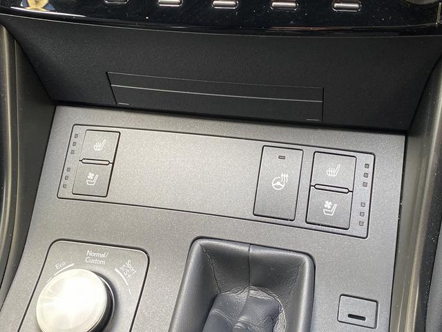 LEXUS IS IS300 F SPORT