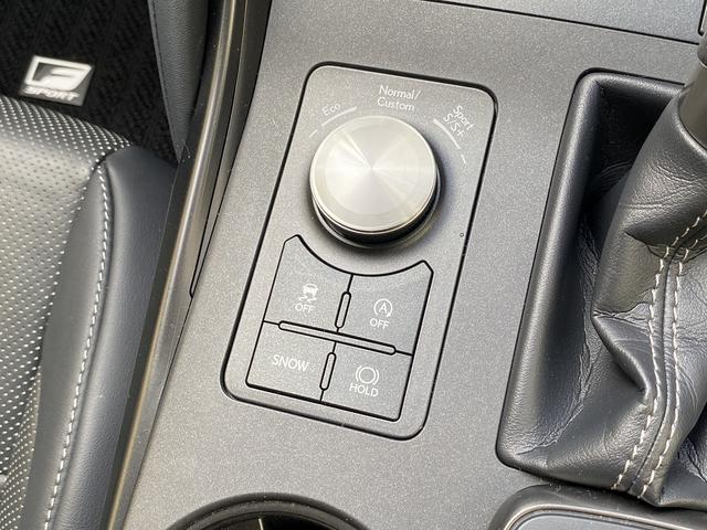 LEXUS IS IS300 F SPORT