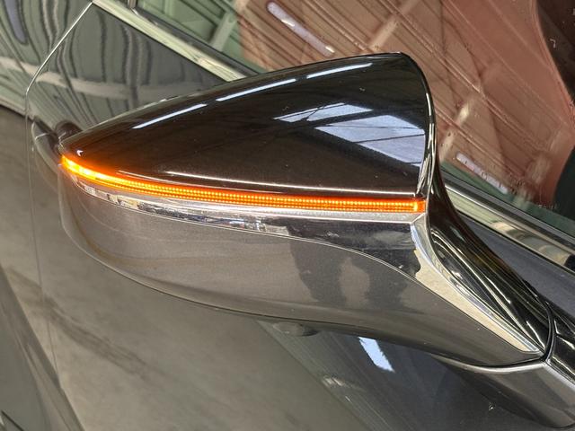 LEXUS IS IS300 F SPORT