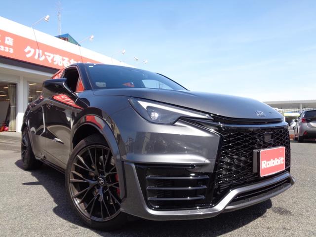 LEXUS LBX MORIZO RR