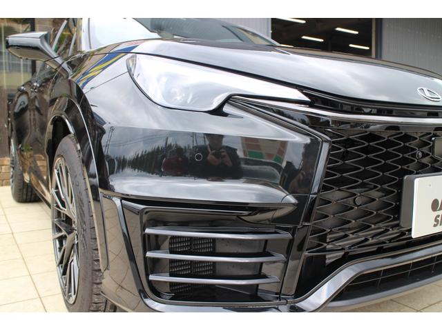 LEXUS LBX MORIZO RR