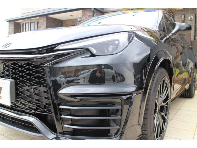 LEXUS LBX MORIZO RR