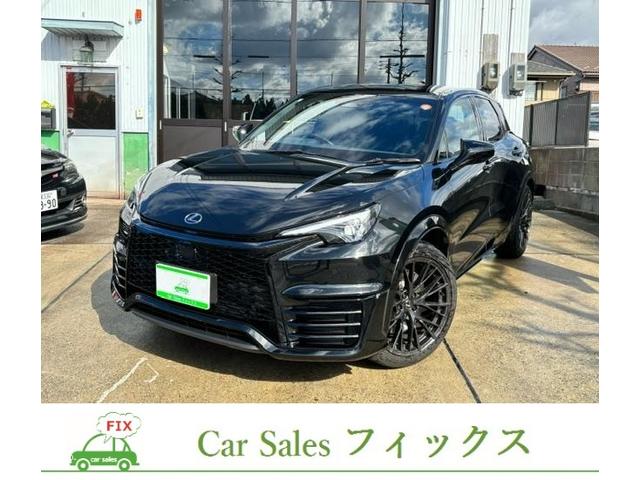LEXUS LBX MORIZO RR