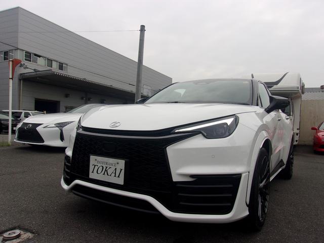 LEXUS LBX MORIZO RR