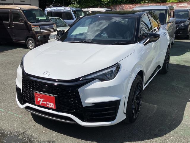 LEXUS LBX MORIZO RR