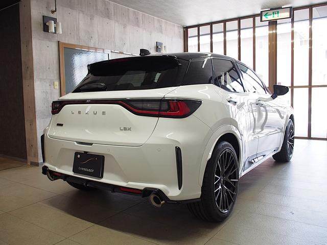LEXUS LBX MORIZO RR