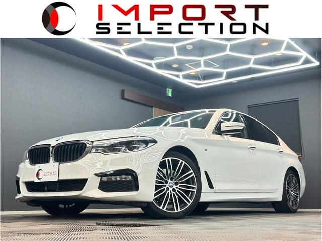 BMW 5 SERIES 523D M-SPORT HI-LINE PACKAGE