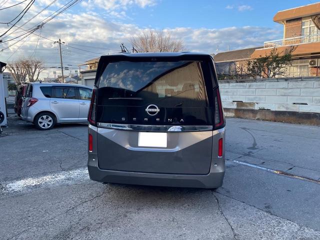 NISSAN SERENA X