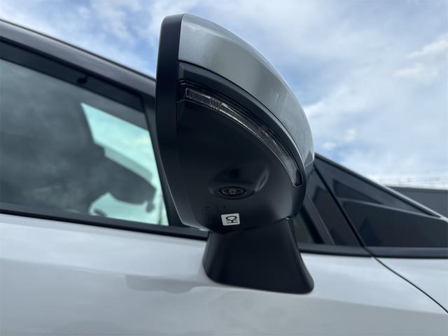 NISSAN AURA AUTECH