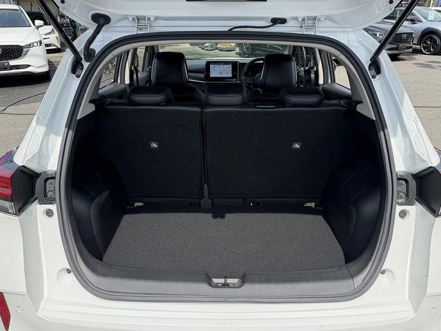 NISSAN AURA AUTECH