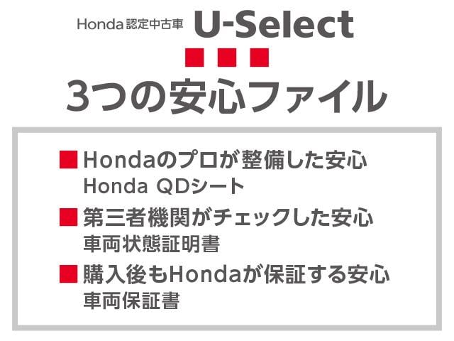 HONDA ZR-V X